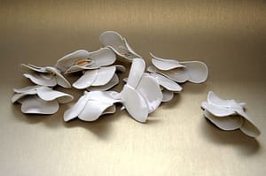 Orquídea flores de porcelana