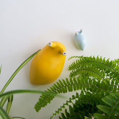 Decorative slugs for the wall or the table