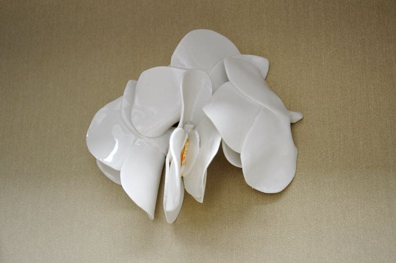 Orquídea, flores de porcelana